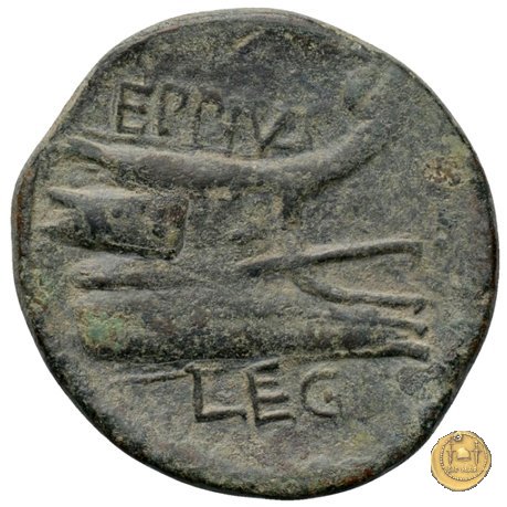 478/1 - asse Sex. Pompeius Magnus Pius / Eppius 45-44 BC (Sicilia)