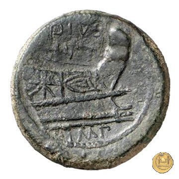 479/1 - asse Sex. Pompeius Magnus Pius 45 BC (Sicilia)