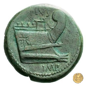 479/1 - asse Sex. Pompeius Magnus Pius 45 BC (Sicilia)