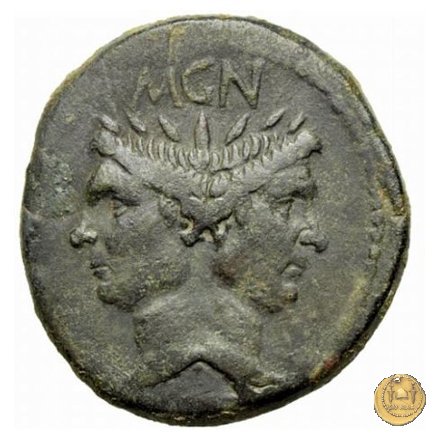 479/1 - asse Sex. Pompeius Magnus Pius 45 BC (Sicilia)