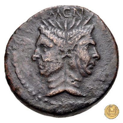 479/1 - asse Sex. Pompeius Magnus Pius 45 BC (Sicilia)