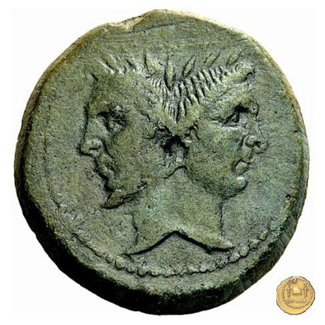 479/1 - asse Sex. Pompeius Magnus Pius 45 BC (Sicilia)