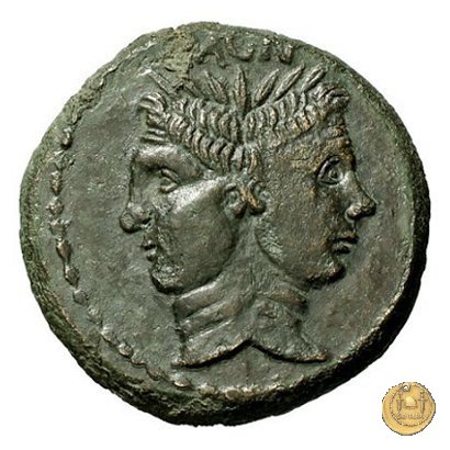 479/1 - asse Sex. Pompeius Magnus Pius 45 BC (Sicilia)