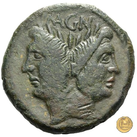 479/1 - asse Sex. Pompeius Magnus Pius 45 BC (Sicilia)