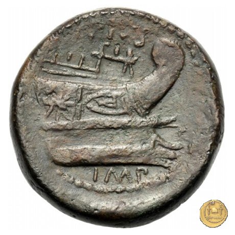 479/1 - asse Sex. Pompeius Magnus Pius 45 BC (Sicilia)