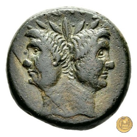 479/1 - asse Sex. Pompeius Magnus Pius 45 BC (Sicilia)