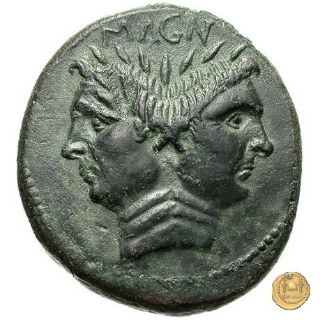 479/1 - asse Sex. Pompeius Magnus Pius 45 BC (Sicilia)