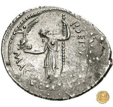 480/10 - denario C. Iulius Caesar / P. Sepullius Macer 44 BC (Roma)