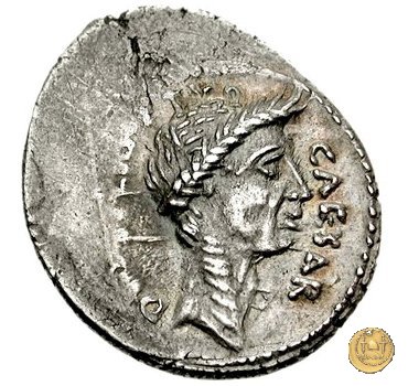 480/10 - denario C. Iulius Caesar / P. Sepullius Macer 44 BC (Roma)