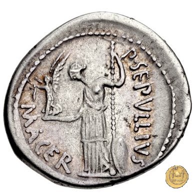 480/10 - denario C. Iulius Caesar / P. Sepullius Macer 44 BC (Roma)