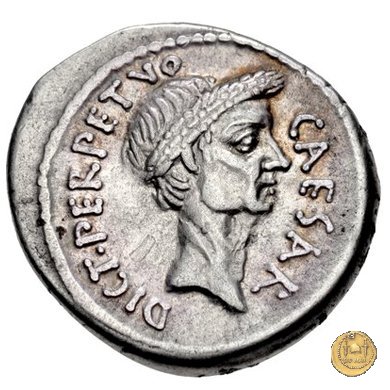 480/10 - denario C. Iulius Caesar / P. Sepullius Macer 44 BC (Roma)