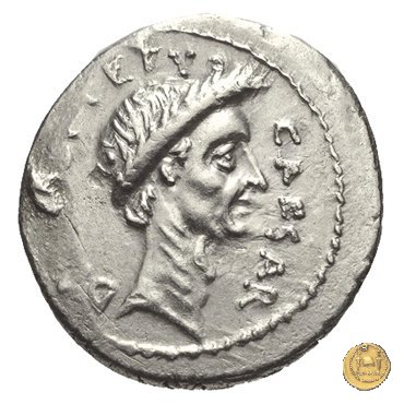 480/10 - denario C. Iulius Caesar / P. Sepullius Macer 44 BC (Roma)