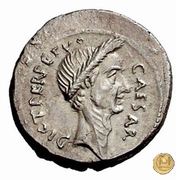 480/10 - denario C. Iulius Caesar / P. Sepullius Macer 44 a.C. (Roma)