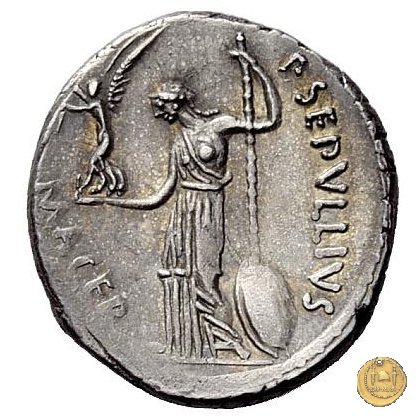 480/10 - denario C. Iulius Caesar / P. Sepullius Macer 44 BC (Roma)