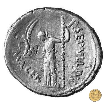 480/11 - denario C. Iulius Caesar / P. Sepullius Macer 44 BC (Roma)