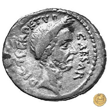 480/11 - denario C. Iulius Caesar / P. Sepullius Macer 44 BC (Roma)