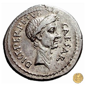 480/11 - denario C. Iulius Caesar / P. Sepullius Macer 44 BC (Roma)