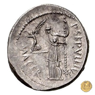 480/11 - denario C. Iulius Caesar / P. Sepullius Macer 44 BC (Roma)