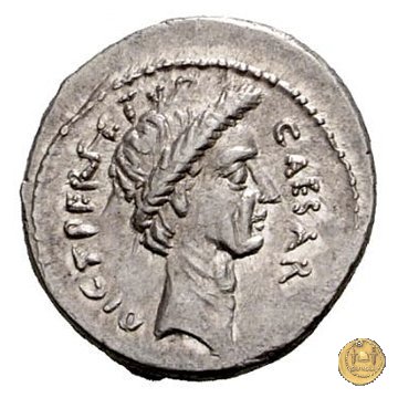 480/11 - denario C. Iulius Caesar / P. Sepullius Macer 44 BC (Roma)