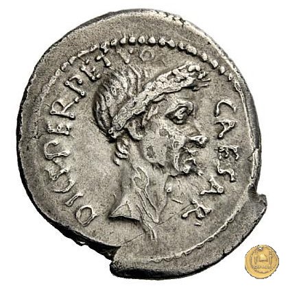 480/11 - denario C. Iulius Caesar / P. Sepullius Macer 44 BC (Roma)