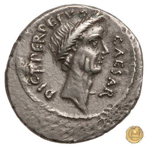 480/11 - denario C. Iulius Caesar / P. Sepullius Macer 44 BC (Roma)