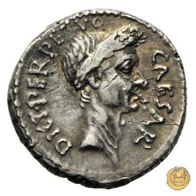 480/11 - denario C. Iulius Caesar / P. Sepullius Macer 44 BC (Roma)