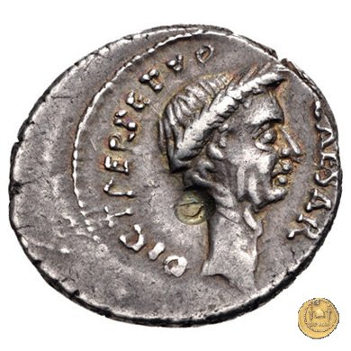 480/11 - denario C. Iulius Caesar / P. Sepullius Macer 44 BC (Roma)