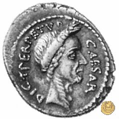 480/11 - denario C. Iulius Caesar / P. Sepullius Macer 44 BC (Roma)