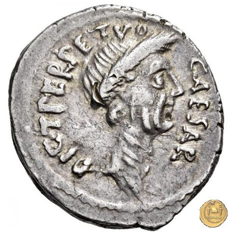 480/11 - denario C. Iulius Caesar / P. Sepullius Macer 44 BC (Roma)