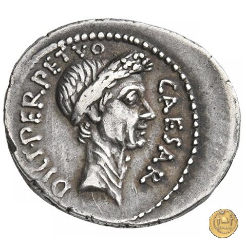 480/11 - denario C. Iulius Caesar / P. Sepullius Macer 44 a.C. (Roma)