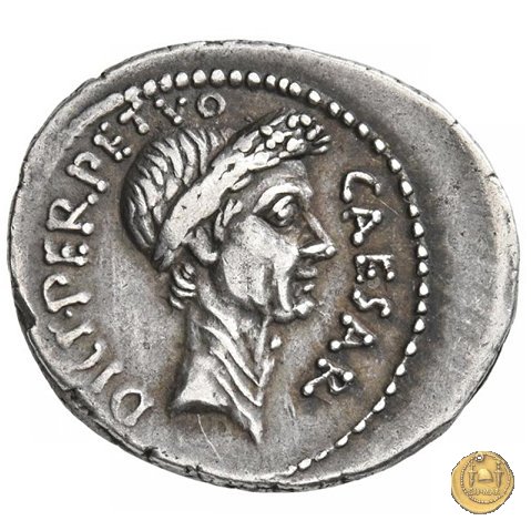 480/11 - denario C. Iulius Caesar / P. Sepullius Macer 44 BC (Roma)