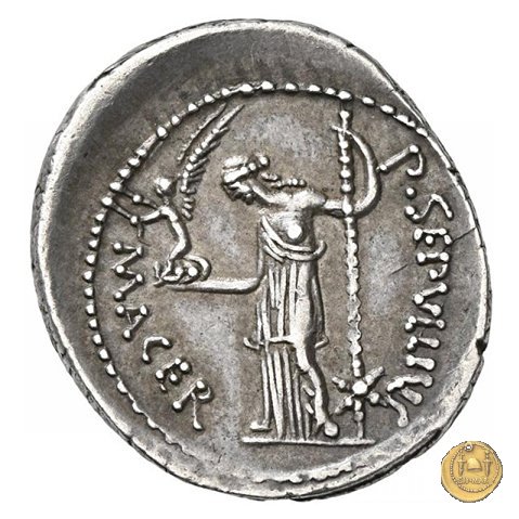 480/11 - denario C. Iulius Caesar / P. Sepullius Macer 44 BC (Roma)