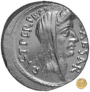 480/12 - denario C. Iulius Caesar / P. Sepullius Macer 44 BC (Roma)