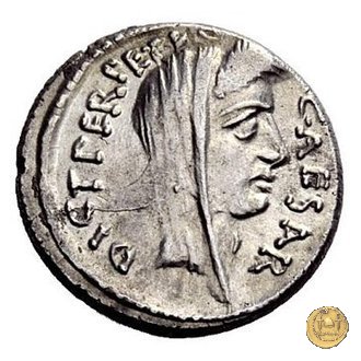 480/12 - denario C. Iulius Caesar / P. Sepullius Macer 44 BC (Roma)