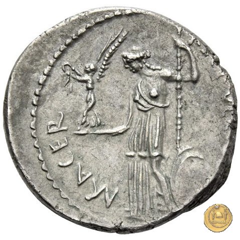 480/12 - denario C. Iulius Caesar / P. Sepullius Macer 44 BC (Roma)