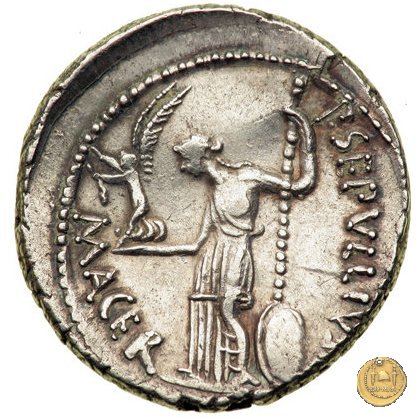 480/13 - denario C. Iulius Caesar / P. Sepullius Macer 44 BC (Roma)