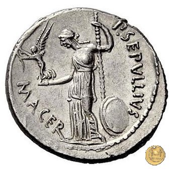 480/13 - denario C. Iulius Caesar / P. Sepullius Macer 44 BC (Roma)