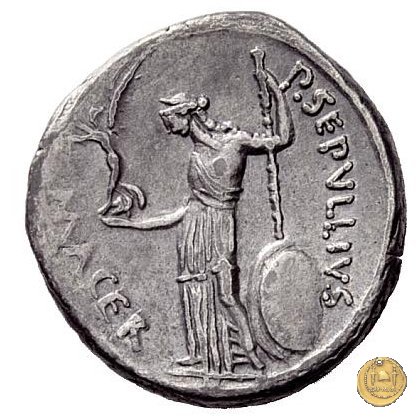 480/13 - denario C. Iulius Caesar / P. Sepullius Macer 44 BC (Roma)