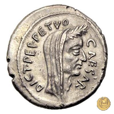 480/13 - denario C. Iulius Caesar / P. Sepullius Macer 44 BC (Roma)