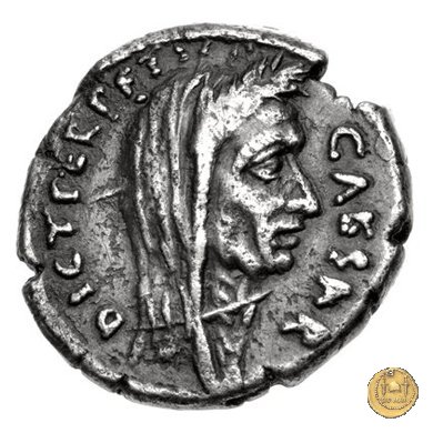 480/13 - denario C. Iulius Caesar / P. Sepullius Macer 44 BC (Roma)