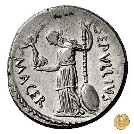 480/13 - denario C. Iulius Caesar / P. Sepullius Macer 44 BC (Roma)