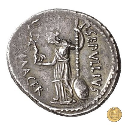 480/13 - denario C. Iulius Caesar / P. Sepullius Macer 44 BC (Roma)