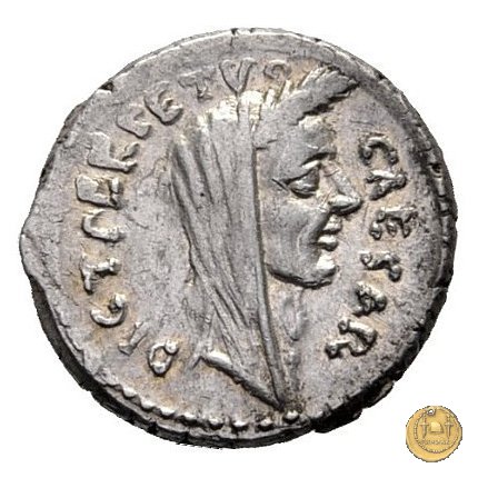 480/13 - denario C. Iulius Caesar / P. Sepullius Macer 44 BC (Roma)