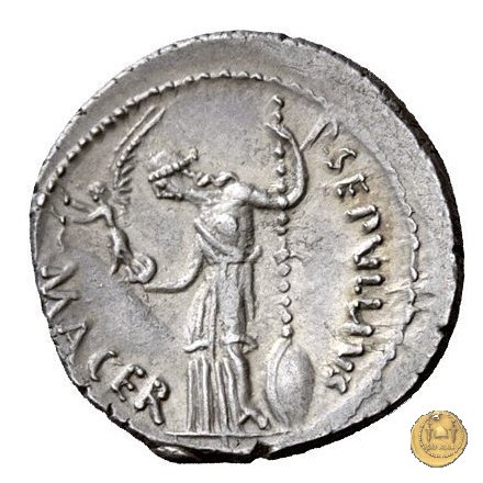 480/13 - denario C. Iulius Caesar / P. Sepullius Macer 44 BC (Roma)