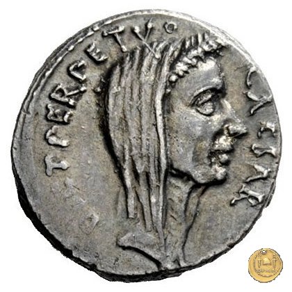 480/13 - denario C. Iulius Caesar / P. Sepullius Macer 44 BC (Roma)