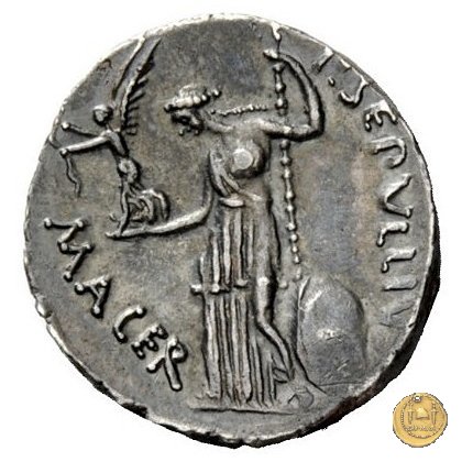 480/13 - denario C. Iulius Caesar / P. Sepullius Macer 44 BC (Roma)