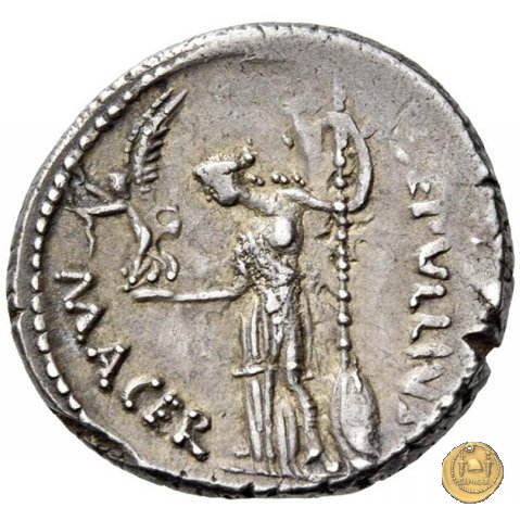 480/13 - denario C. Iulius Caesar / P. Sepullius Macer 44 BC (Roma)