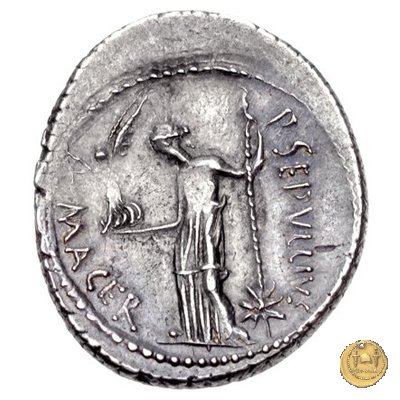 480/14 - denario C. Iulius Caesar / P. Sepullius Macer 44 BC (Roma)