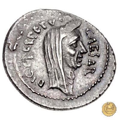 480/14 - denario C. Iulius Caesar / P. Sepullius Macer 44 BC (Roma)