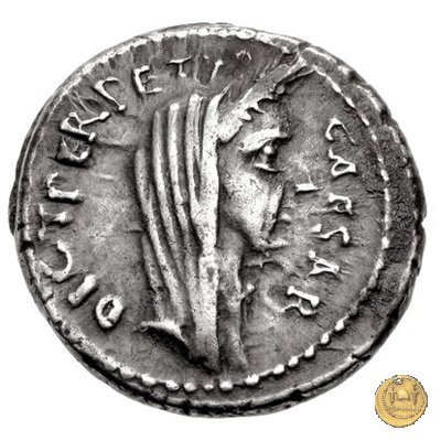 480/14 - denario C. Iulius Caesar / P. Sepullius Macer 44 BC (Roma)